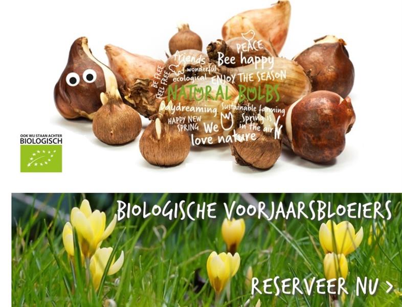 Robert Heemskerk Natural Bulbs zoekt handjes