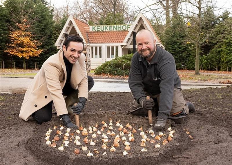 Aladdin plant tulp in Keukenhof 