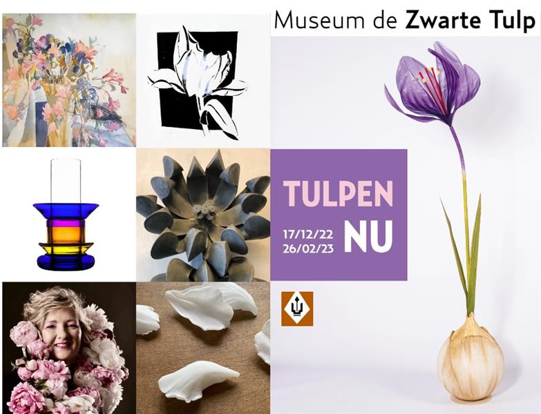 museum de Zwarte Tulp Tentoonstelling Tulpenkoorts &ndash; 1636-1637 &ndash; 