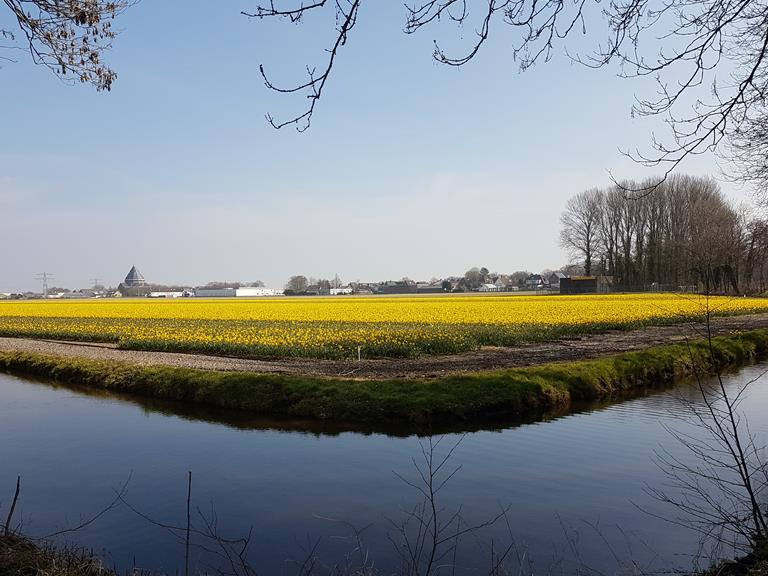 OOST-WEST-VERBINDINGEN DUIN- EN BOLLENSTREEK  