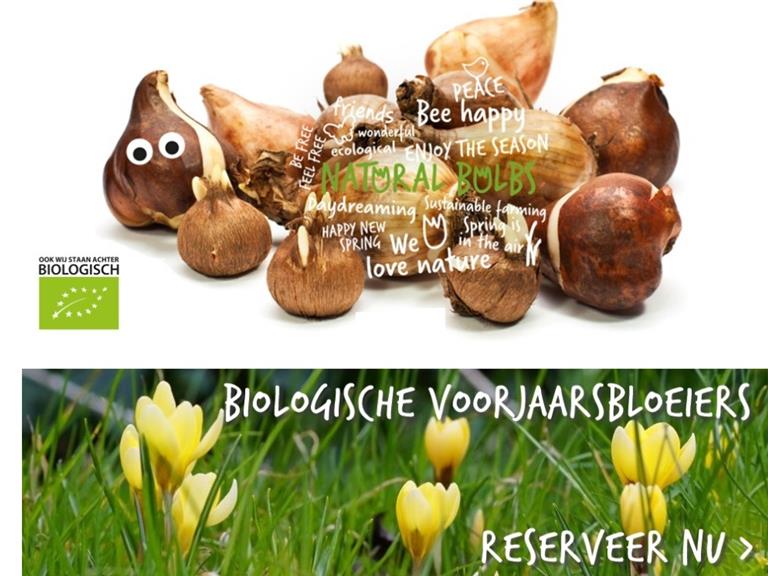 Robert Heemskerk Natural Bulbs zoekt handjes