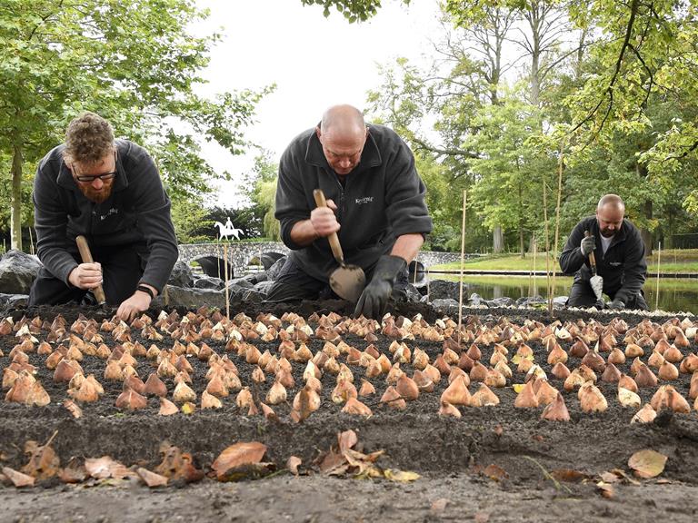 Keukenhof optimistisch over seizoen 2022 