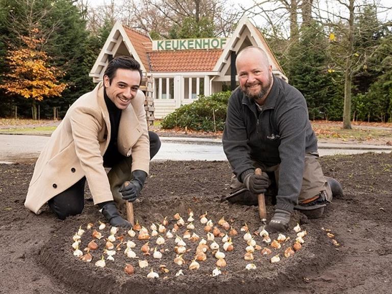 Aladdin plant tulp in Keukenhof 