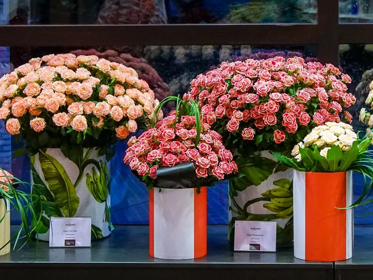 Topkwaliteit bij rozenshow in Keukenhof