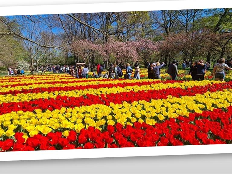 Onverwacht drukke Paasdagen in Keukenhof