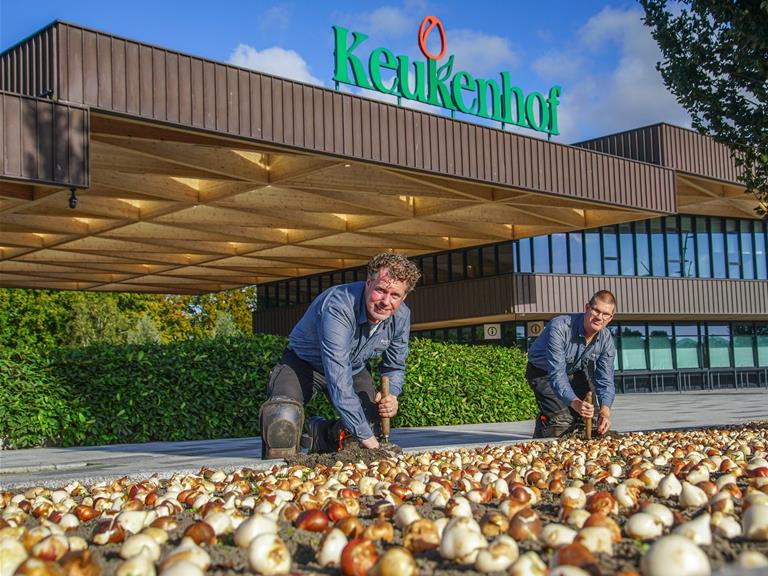 Keukenhof tuinmannen uit hun bol; plantseizoen gestart 