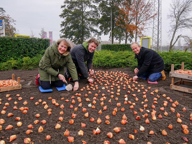 Samenwerking Keukenhof en gemeente zorgt voor kleurrijke entree van Lisse