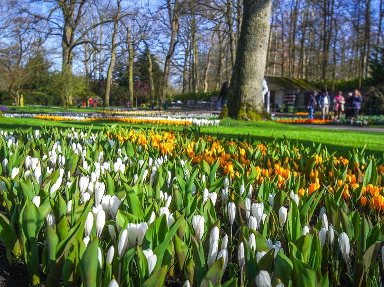 De lente is begonnen, Keukenhof is weer open!