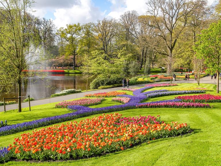 Consumenten kiezen de mooiste showbloem in Keukenhof 