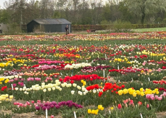 MeerBusiness &lsquo;Achter de Schermen&rsquo; bij Hobaho &ndash; 15 april 2025